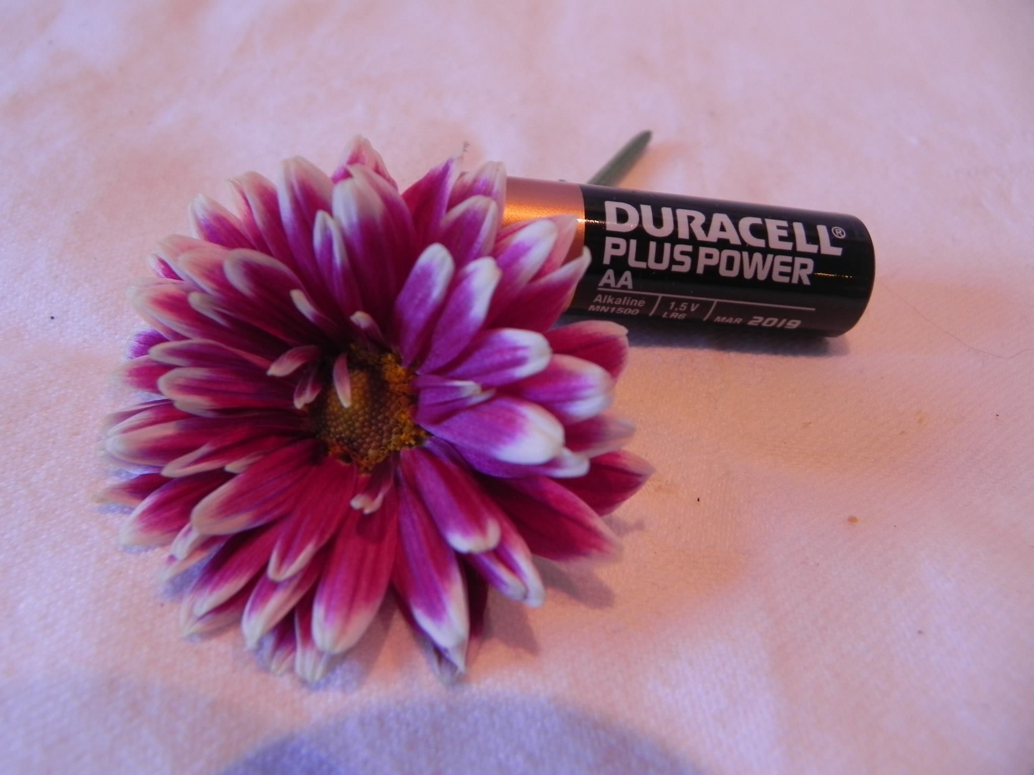"Flower Power" made the shortlist in 2013.