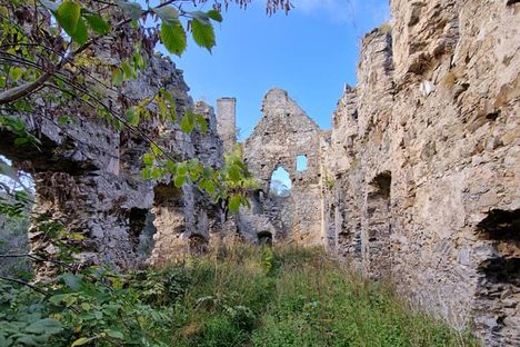 Inside the overgrown great hall.