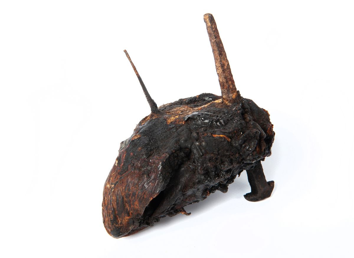 A pierced bull's heart.