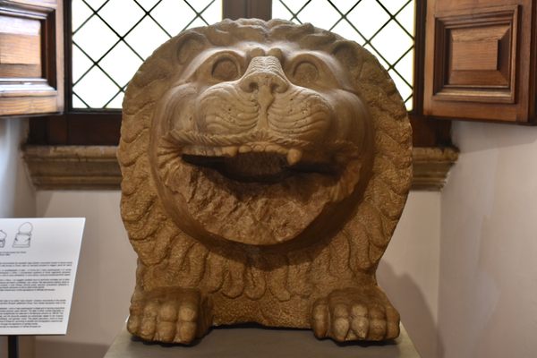 A Phoenician lion head.