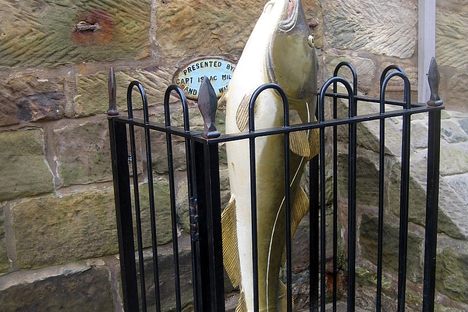 The R.N.L.I Fish