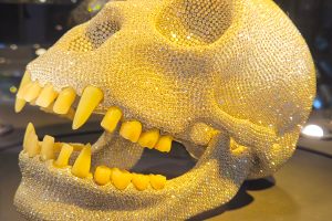 The Diamond Ape Skull at the Diamond Museum. 