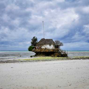 The Rock