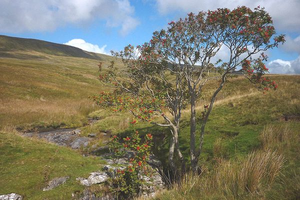 Jingling Pot: Yorkshire’s Cave Where Sheep Sometimes Fall