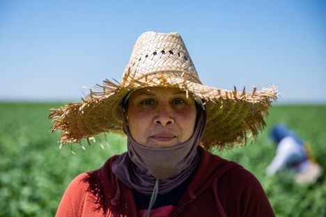 Agricultural workers have been classified as "essential," but most labor for extremely low wages. 