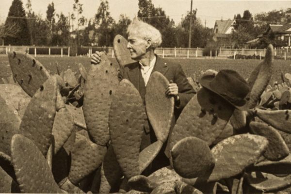 Luther Burbank (and his hat) among the cacti.
