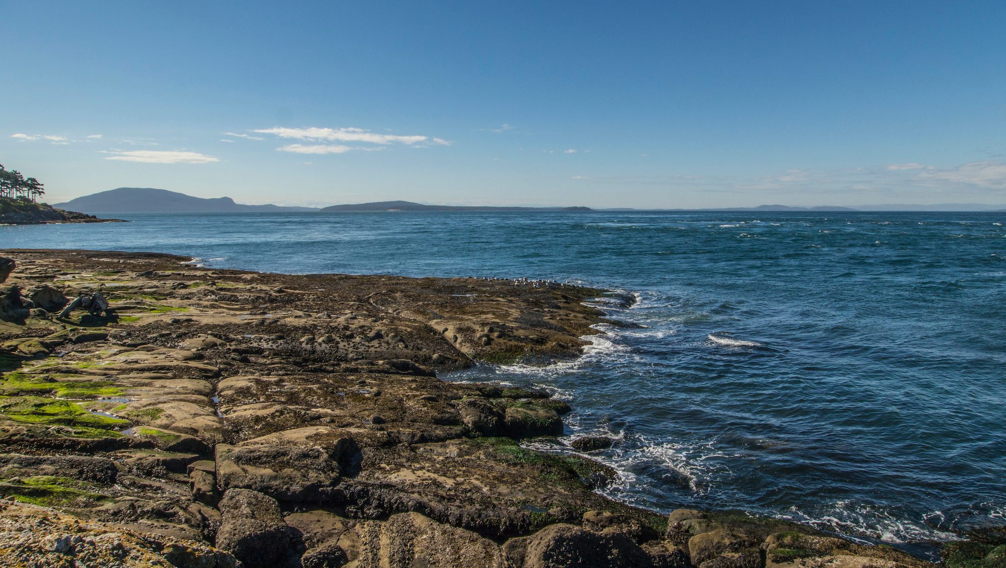 The Pacific, as seen from the San Juan Islands.