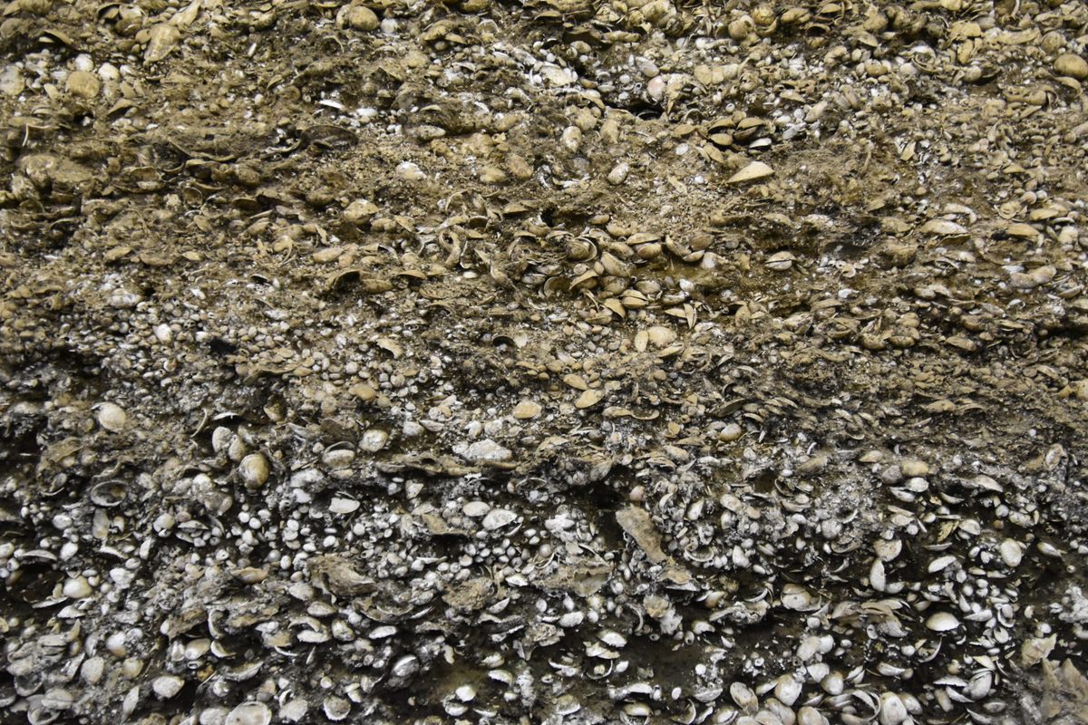 Random Mounds Kasori Shell Mounds - Atlas Obscura