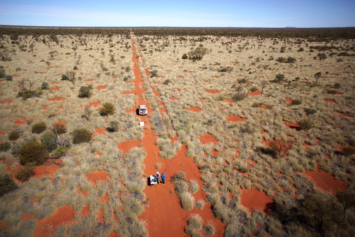 Indigenous people's knowledge, science research and an Academy grant help  unlock the mystery of 'fairy circles