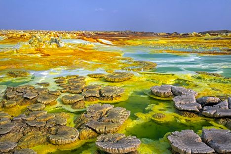 Sulfurous springs in the Danakil Depression discharge brine and acidic liquid. 