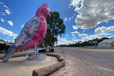 The Big Galah