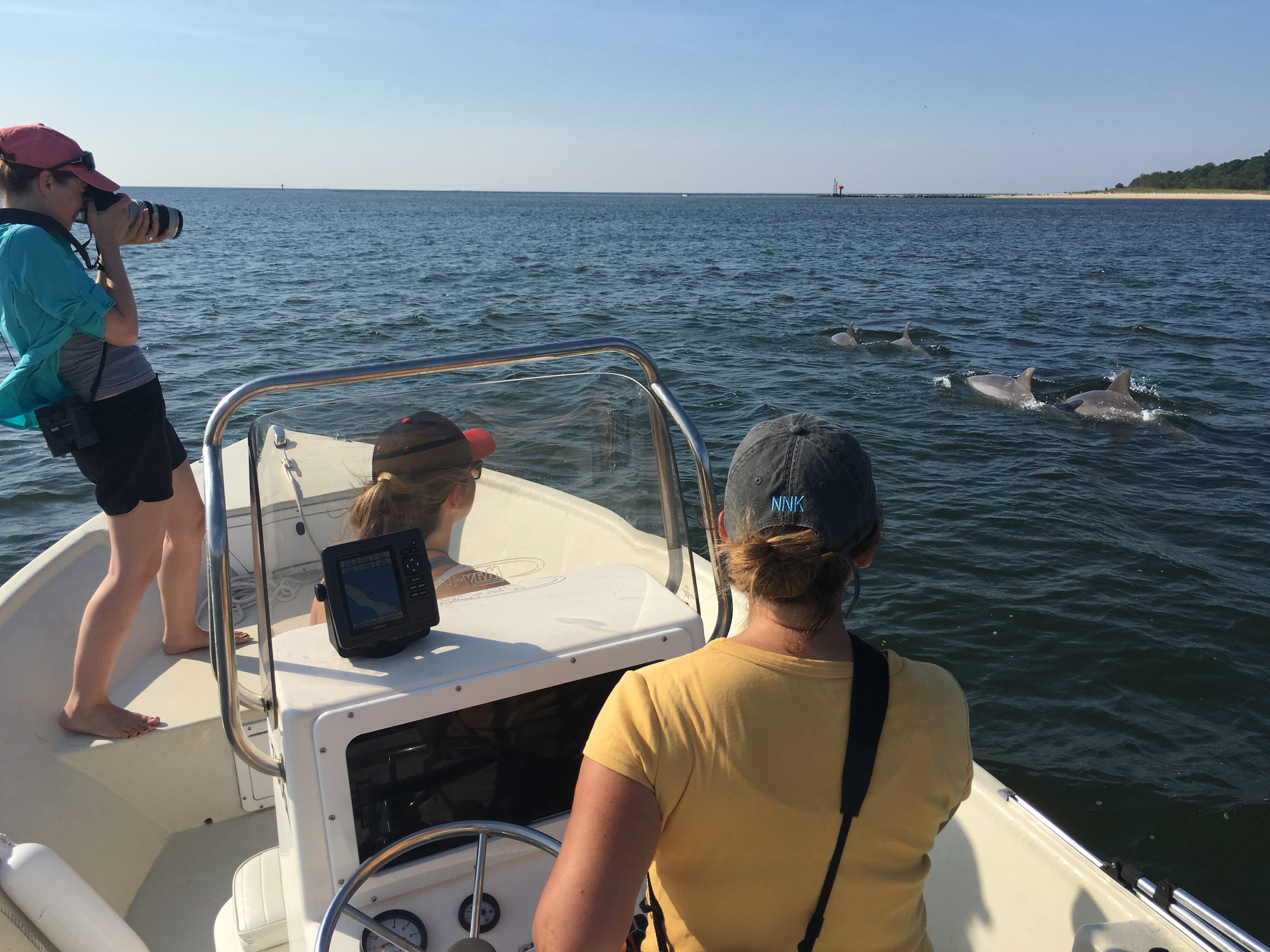 Ann-Marie Jacoby photographs a Potomac-Chesapeake dolphin as Dr. Janet Mann drives.