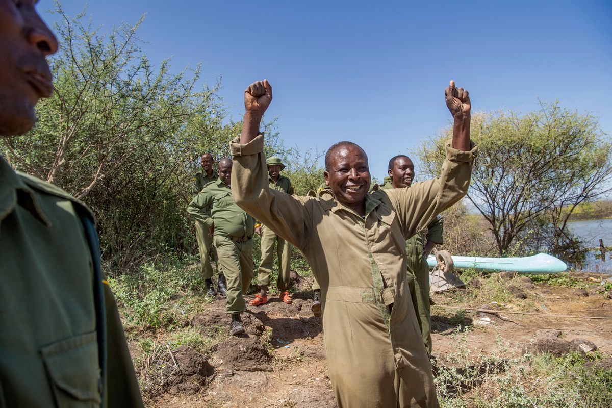 Conservationists, including ranger Simbiri Toki, cheer as one of the giraffes completes its journey to the Ruko Community Wildlife Conservancy.