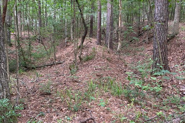 Swales (wagon ruts) at Lobanillo Swales