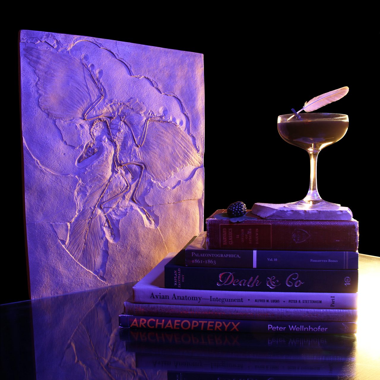 The <em>Archaeopteryx</em> cocktail, which Carney concocted the day his paper was published, is pictured here with a replica of the Berlin specimen.