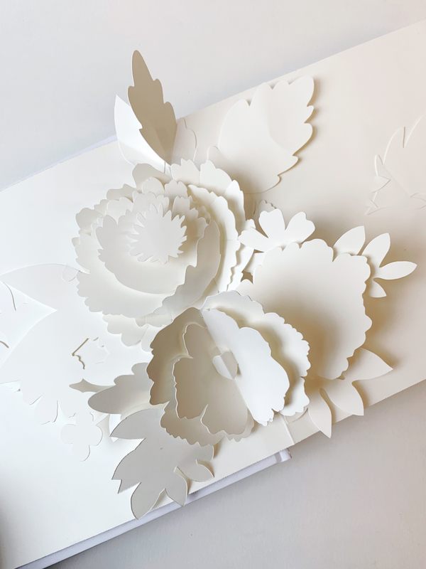 3d Paper Art Pop Ups And Paper Engineering With Yoojin Kim Atlas Obscura Experiences