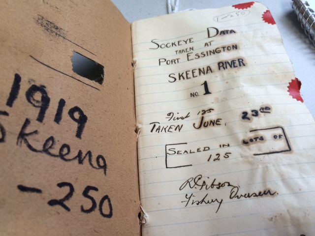 A century later, the books still contain notes in the researchers' original ink, as well as original salmon slime.