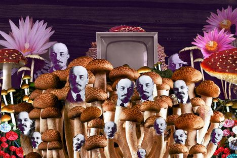 How Vladimir Lenin Became a Mushroom