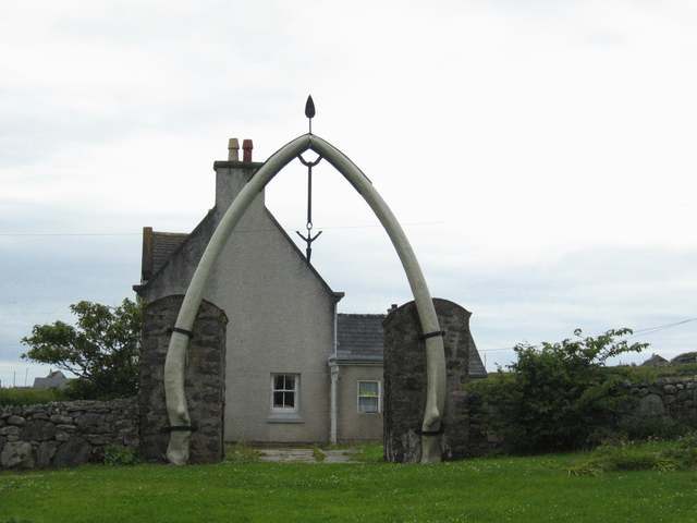 10 Places Where You Can See Whale Bones Outside a Museum - Atlas Obscura