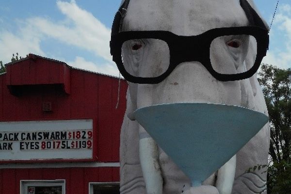 How many pink elephants wearing thick black-framed glasses sipping a martini have you seen?