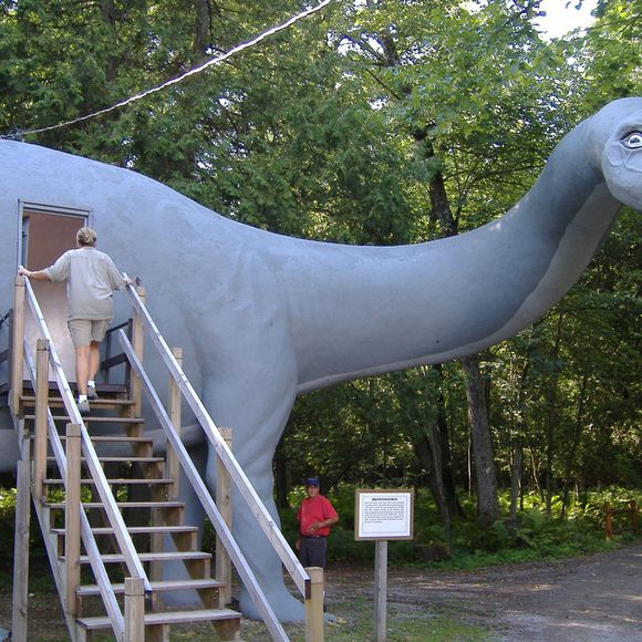 Dino Sanctuaries, Dino Run Wiki