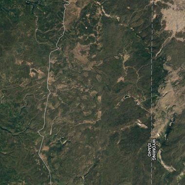 Screenshot of the wilderness surrounding Buffalo Lake, which is located within the "Zone of Death."