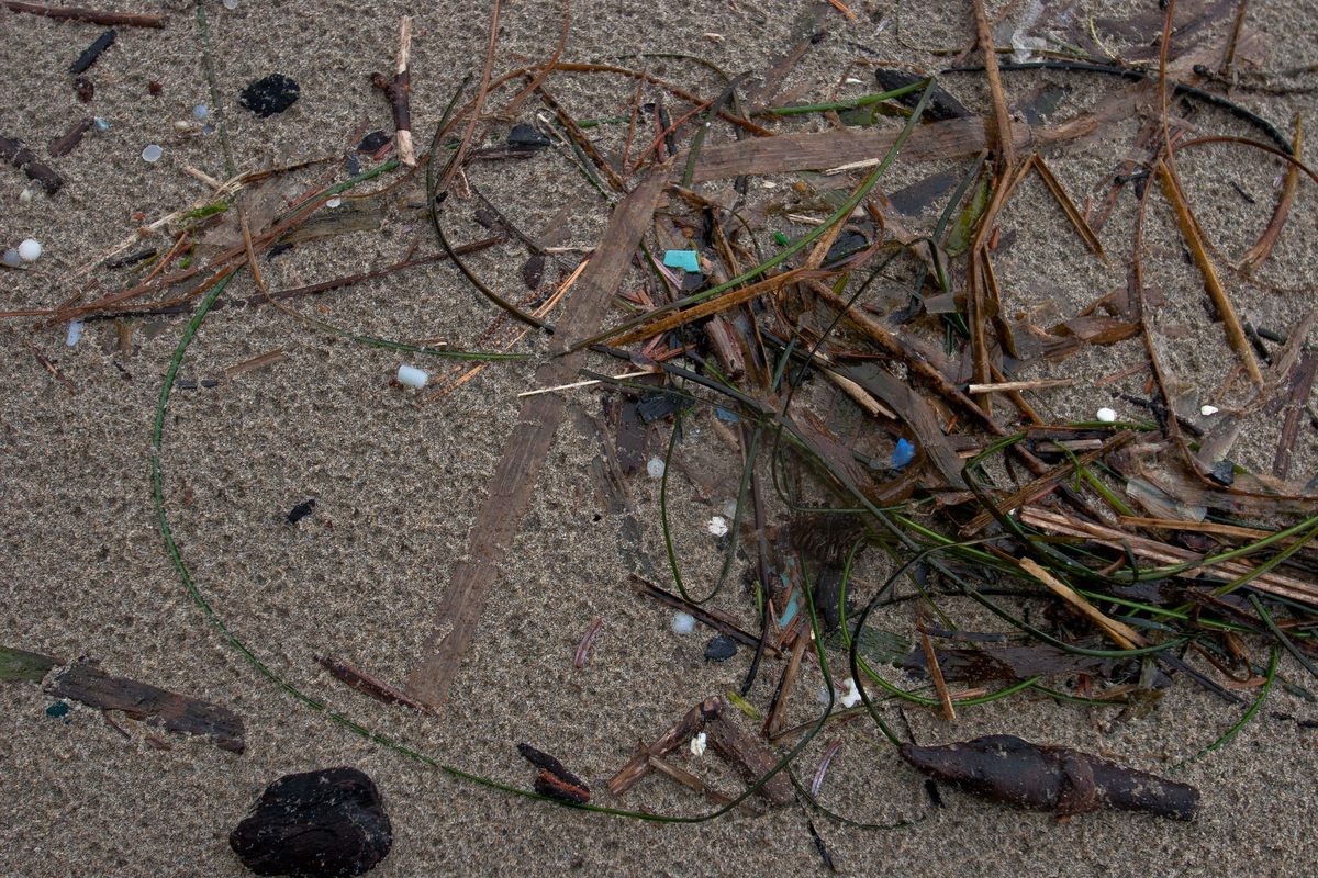 Plastic pollution is known to afflict the sea, but microplastics are caught in the wind, too.