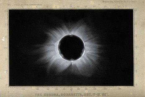 An illustration of the sun's corona during an eclipse in 1871.