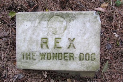 Rex the Wonder Dog's grave.