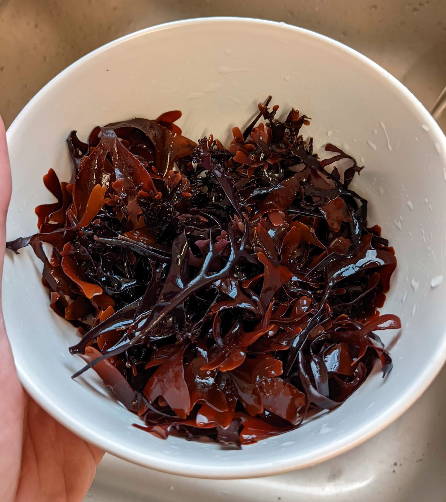 Black seaweed sale