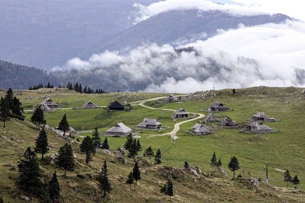Velika Planina
