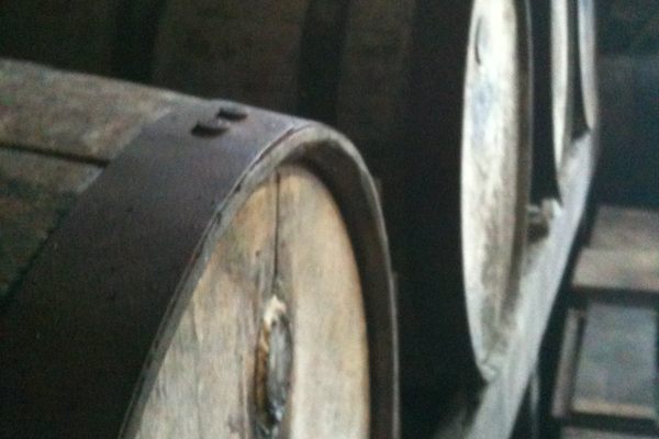 Casks for aging rum.