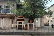 The temple and the tree at the square.