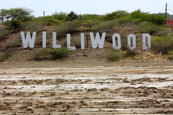 Williwood Sign