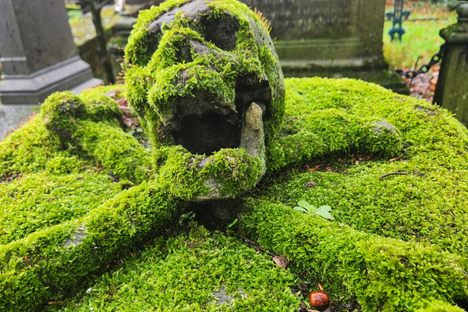 Picture taken in April, so the stone work is very mossy.