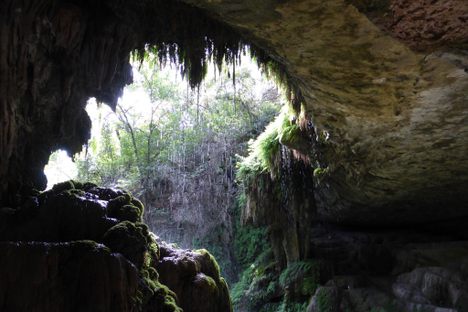 Westcave Outdoor Discovery Center