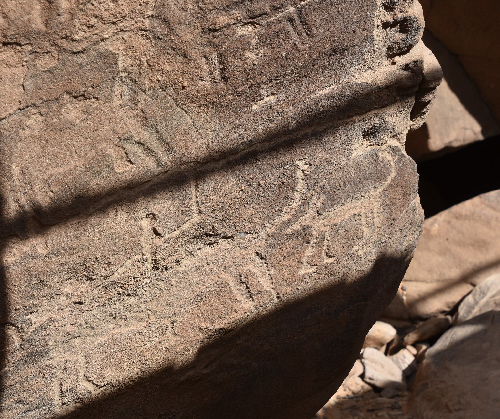 Rock art found at Jebel um Sanman, on the west side of Jubbah, includes the earliest depiction of dogs on the Arabian Peninsula.