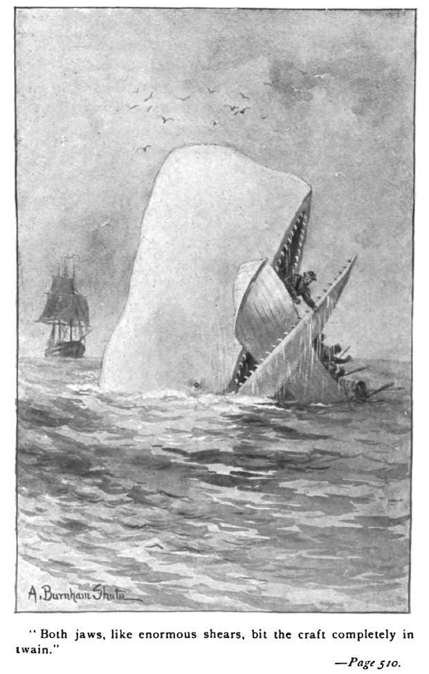 Moby-Dick, a definite "he."