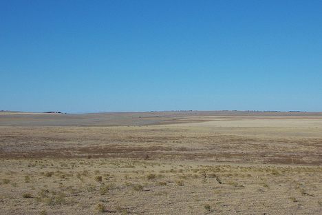 Clear Nebraska Day