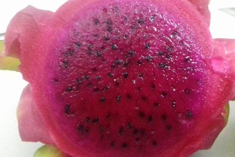 Pitaya
