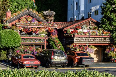 Alki Flower Houses