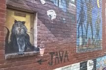 Cat Alley Murals