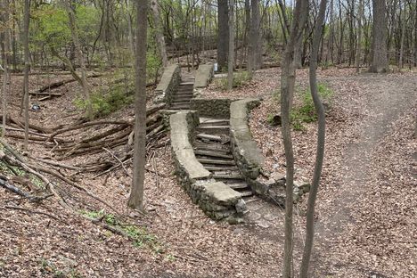Staircase located in the women's grove