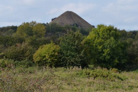 Mount Judd in 2014