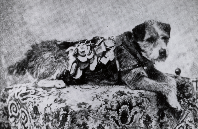 Owney the Postal Dog