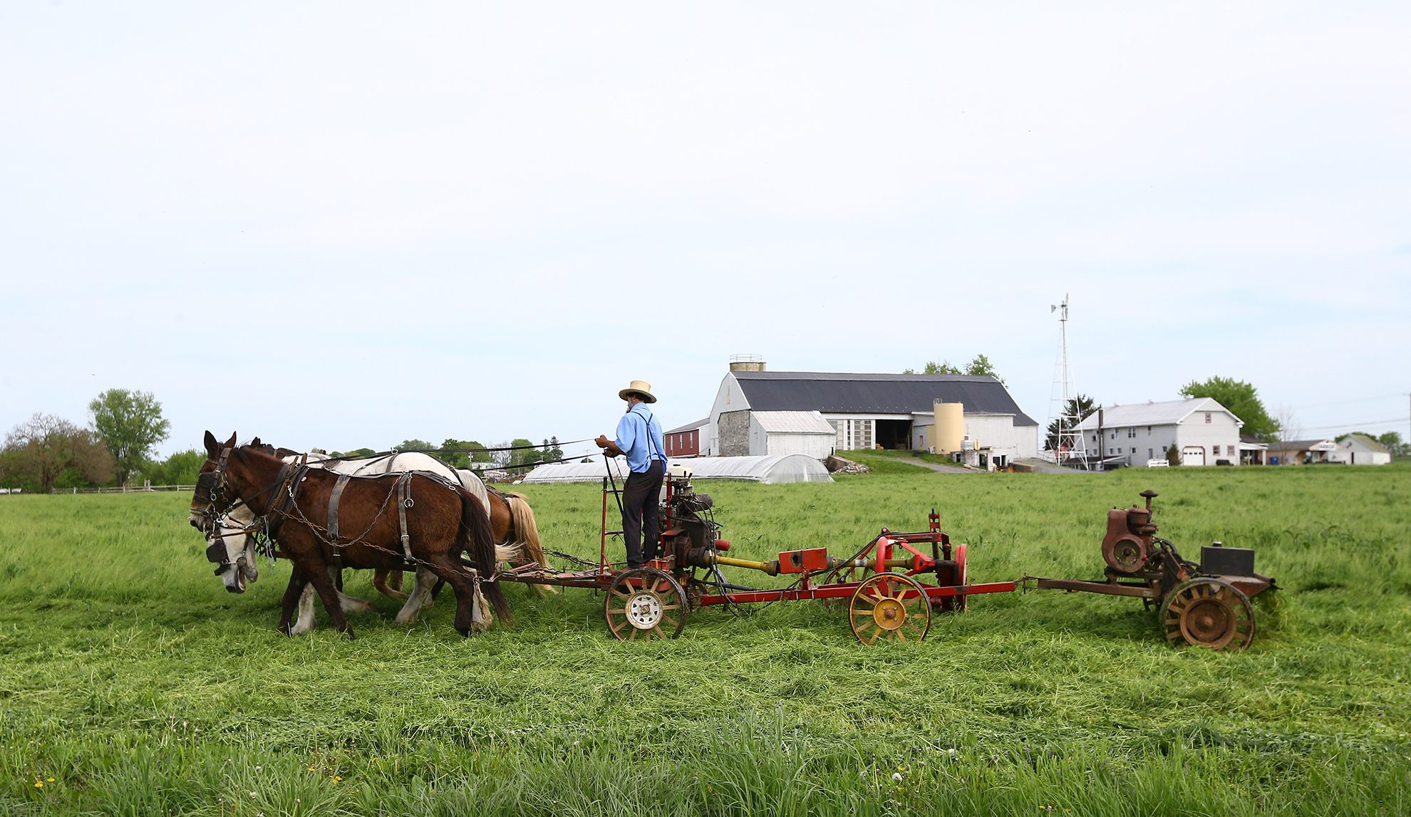 An Amish farmer uses horsepower in Central Pennsylvania.