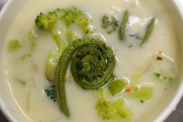 Cream of fiddlehead and broccoli soup.