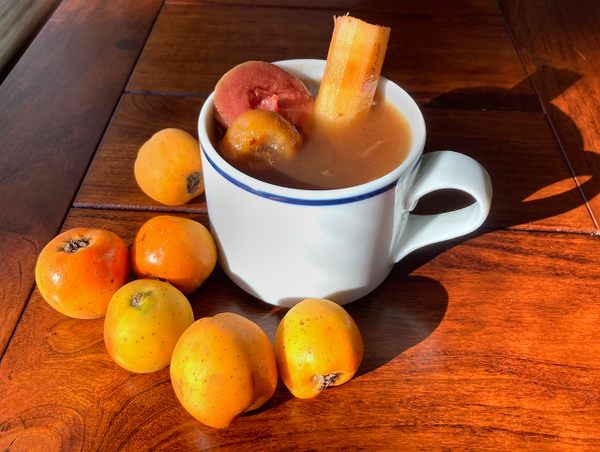A Once-Forbidden Fruit: The Secret Ingredient to Delicious Christmas Punch