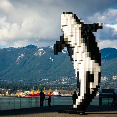 Digital Orca