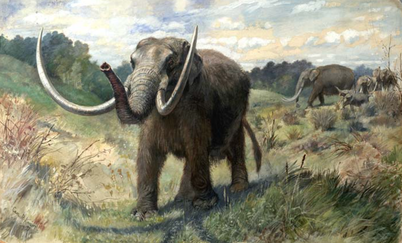 Mastodons once roamed over much of North America. One of them died near the future site of San Diego, causing a scientific controversy 130,000 years later.